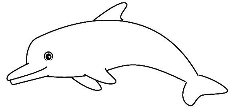 Delfin kolorowanki
